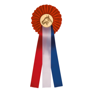 Rozet R12 kampioen Rozet R12 kampioen