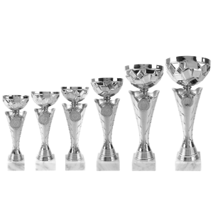 Beker AK6002