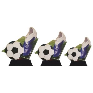 Beeld WPT voetbal