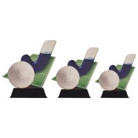 Beeld WPT hockey