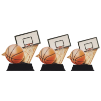 Beeld WPT basketbal