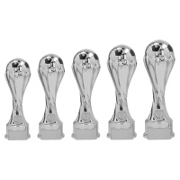 Beeld WPT voetbal zilver