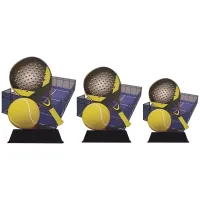 Beeld WPT padel